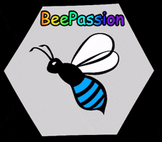 BeePassion tracksuits dresy beepassion GIF