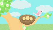 jesshartmann bird egg morph babybird GIF