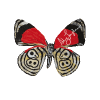 New Orleans Beauty Sticker by Ashley Longshore