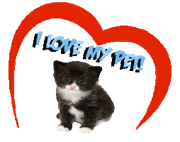 Guinea Pig Love Sticker