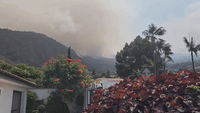 Air Quality Plummets on Spanish Island as Large Wildfire Burns