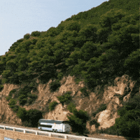 Bus Costa GIF by Solmar
