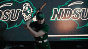 Ndsu Softball GIF by NDSU Athletics
