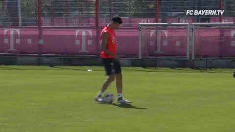 football soccer GIF by FC Bayern Munich