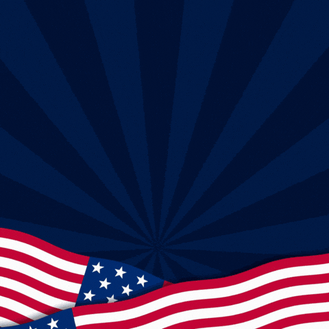 Happy Independence Day GIF by BigBrains