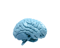 DigitalInfo brain target targeting мозг Sticker