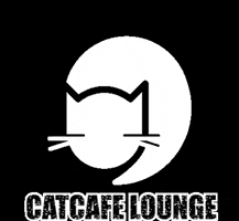 Catcafe GIF by catcafelounge
