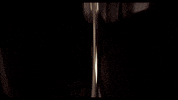 GIF by Giffffr