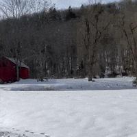 Snow Nieve GIF by This Bushwick Life