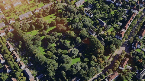 bauvereinruestringen giphyupload park wilhelmshaven entspannung GIF