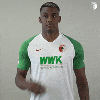 La Pantera Football GIF by FC Augsburg 1907