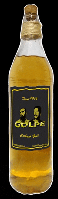 cachacagolpe giphygifmaker golpe cachacagolpe cachacagolpesaocarlos GIF