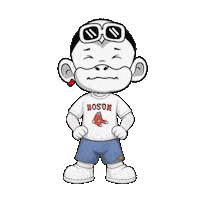 Red Sox Boston Sticker by Zhot