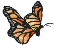 happy summer Sticker