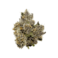 Sticker by Mary y Juana® Beverages Co.