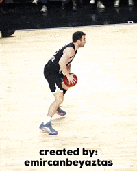 Berk Alley Opp GIF