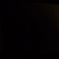 Cheese Milk GIF by Parmigiano Reggiano