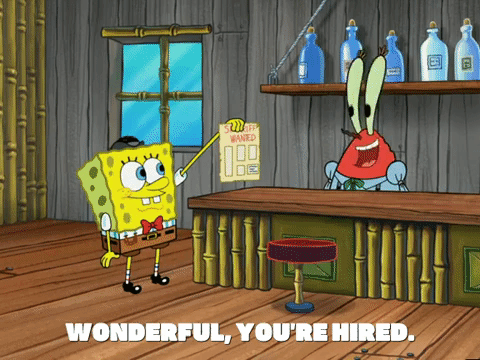 season 5 GIF by SpongeBob SquarePants