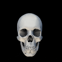 art 3d GIF by G1ft3d