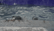 Join Us Jump Up GIF by Clix