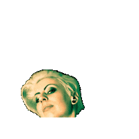 maiadrachen maiadrachen maia drachen Sticker