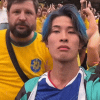 World Cup Football GIF