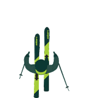 Friends Snow Sticker by Elan Sports