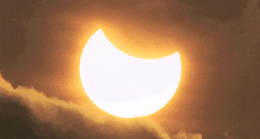 bright sun GIF