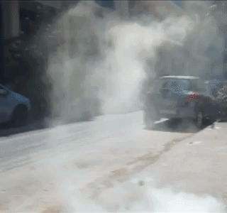 short film patision avenue GIF