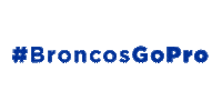 Boise State Go Broncos Sticker by Boise State University