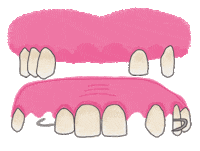 Dentist Odonto Sticker
