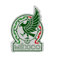 World Cup Football Sticker