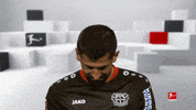 Bayer 04 Hello GIF by Bundesliga