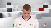 Happy Red Bulls GIF by Bundesliga
