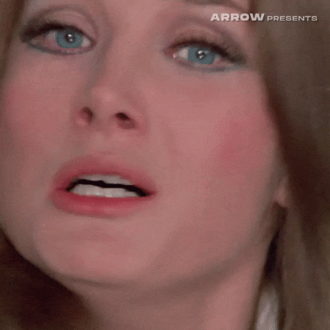 Italian Film GIF by Arrow Video