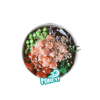 Pokeycuneo food drink beer cheers Sticker
