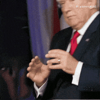Donald Trump GIF