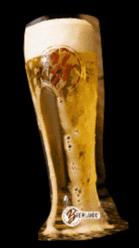 Brewlando beerpour overpour brewlando brewlandobrews GIF