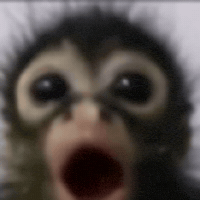 No Way What GIF