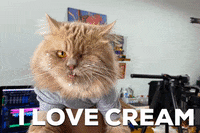 ZYNEHERE cat cats yummy singapore GIF