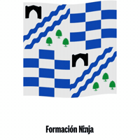 Castilla Y Leon Flag GIF by Formación Ninja