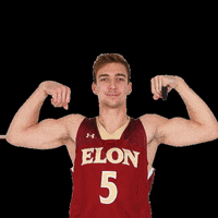 elonphoenix elon basketball GIF