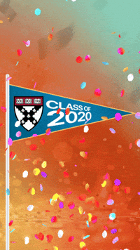 Reunion GIF by Harvard Business School