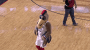social media dance GIF by NBA