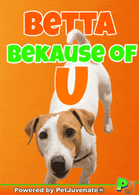 PetJuvenate  GIF
