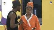 Bbnaija GIF by Big Brother Naija