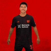 Bayer 04 Bundesliga GIF by Bayer 04 Leverkusen