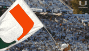 College Football GIF by Miami Hurricanes