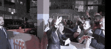 tiff hello wave hell yeah toronto international film festival GIF
