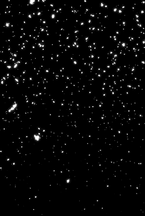 black and white snow GIF